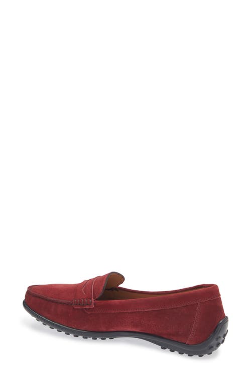 The Flexx Winter Penny Loafer In Bordeaux