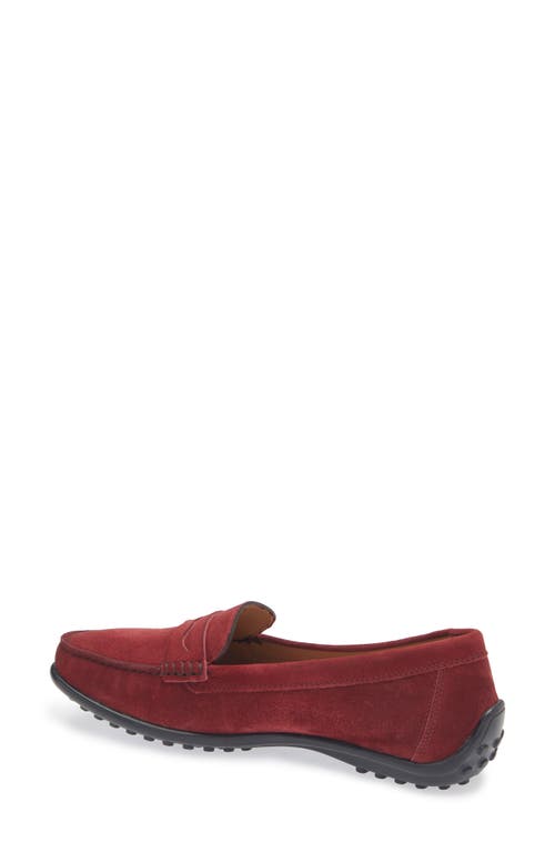 Shop The Flexx Winter Penny Loafer In Bordeaux