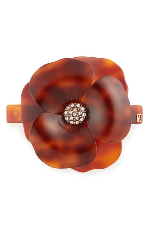 Alexandre de Paris Camelia Barrette in Tortoise at Nordstrom