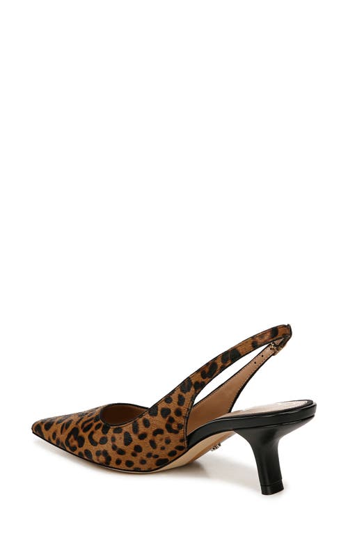 Sam Edelman Bianka Slingback Pump Granada Tan Leopard Leather In Granada Tan