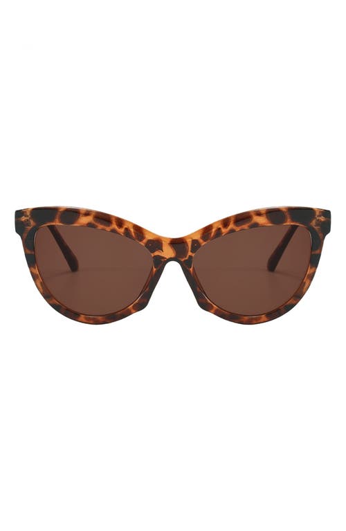 Fifth & Ninth Pippa 73mm Oversize Polarized Cat Eye Sunglasses In Torte