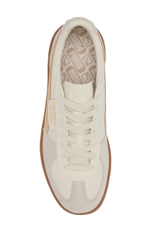 Shop Puma Palermo Leather Sneaker In Alpine Snow-desert Dust-gum
