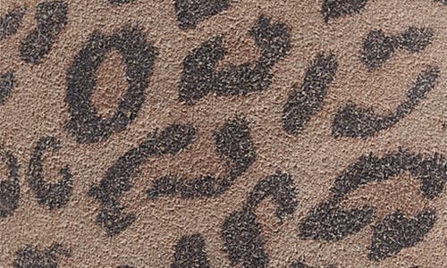 Beek Woodpecker Genuine Shearling Clog In Leopard