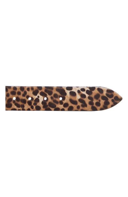 Isabel Marant Luno Bijou Genuine Calf Hair Belt In Leopard