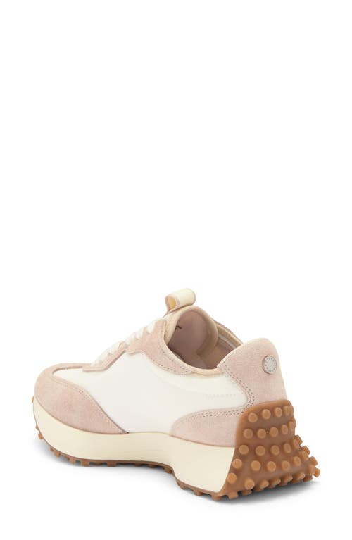 Shop Steve Madden Campo Sneaker In Beige Multi/beige