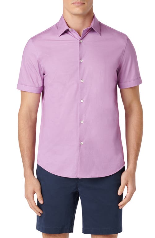 Bugatchi Miles OoohCotton Pinstripe Short Sleeve Button-Up Shirt at Nordstrom,