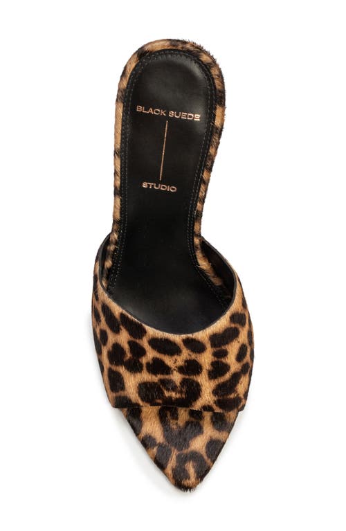 Shop Black Suede Studio Junie Sandal In Leopard Pony Hair