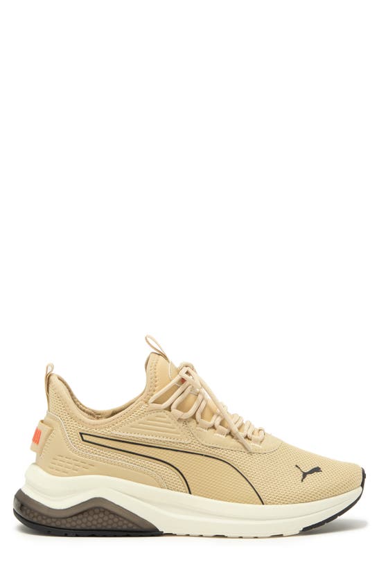 Puma Amplifier Sneaker In Toasted Almond-warm White