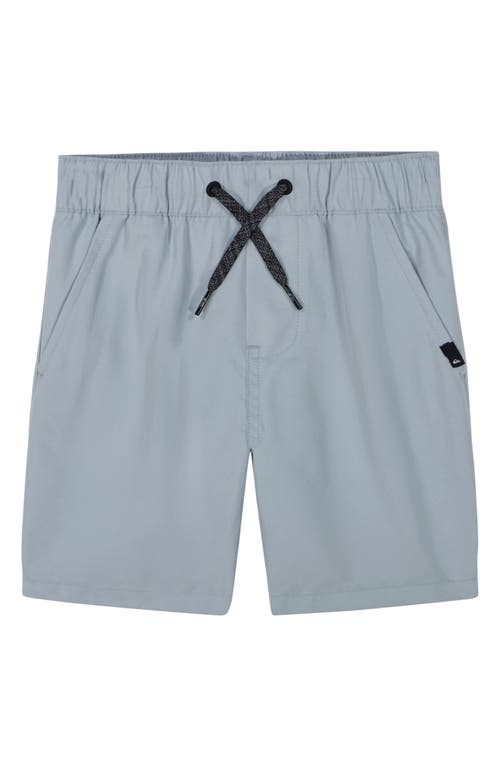 Shop Quiksilver Kids' Amphibian Board Shorts In Quarry