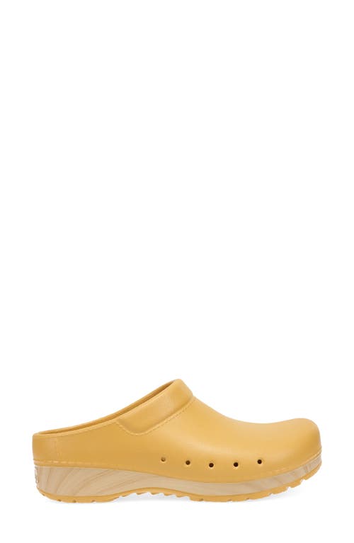 Shop Dansko Kane Clog In Mustard