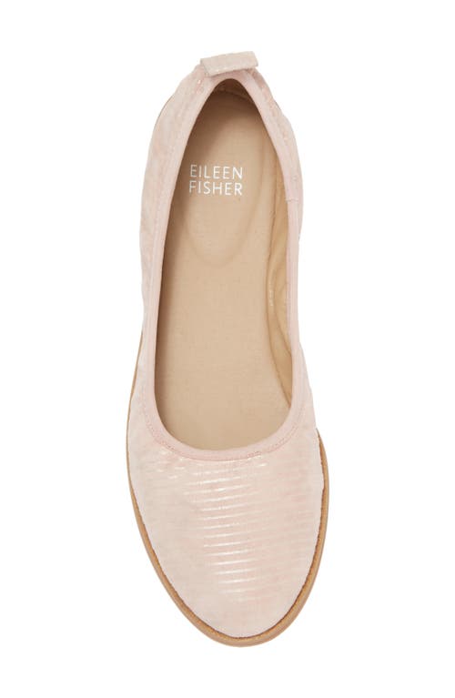 Shop Eileen Fisher Notion Ballet Flat In Goose Bump/light Gold