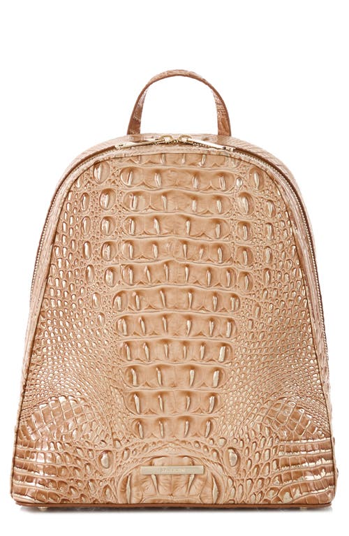 Nola Croc Embossed Leather Backpack in Honey Brown