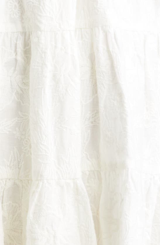 Shop Mille Violetta Ruffle Tie Waist Dress In Garden Embroidery