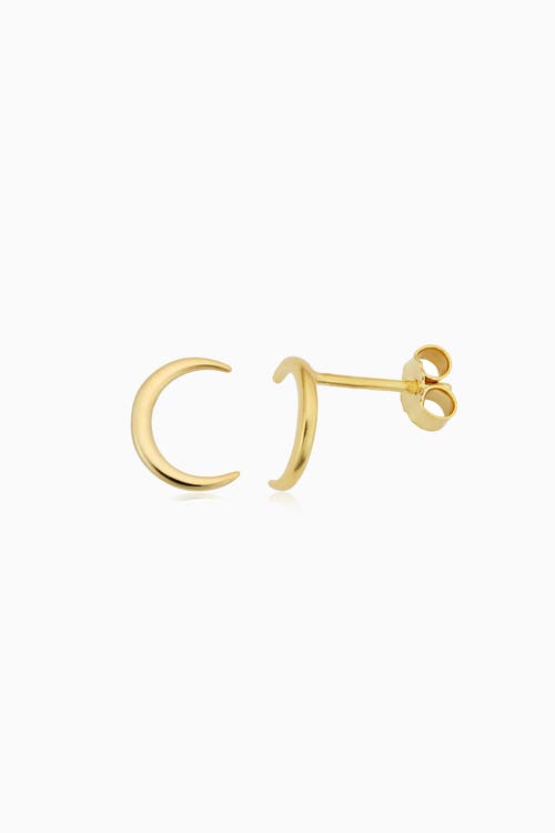 Oradina Women's 14k Yellow Gold Jana Studs In Yellow Gold