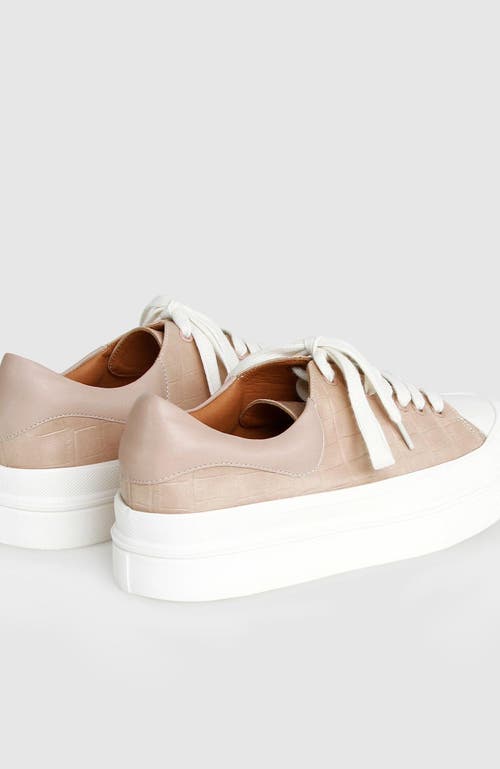 Shop Belle & Bloom Just A Dream Croc Leather Sneaker In Blush