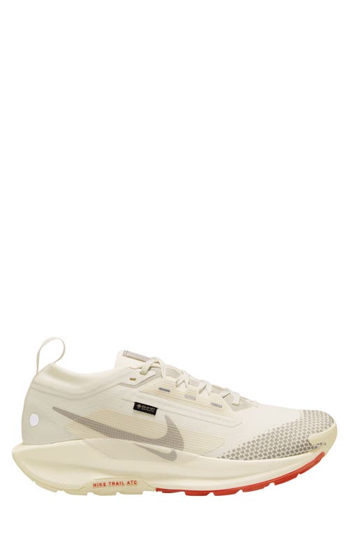 Nike Men's Pegasus Trail 5 Gore-tex Waterproof Trail Running Shoes In Sail/ Light Orewood Brown/ Red