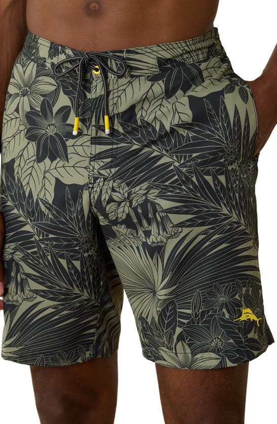 Shop Tommy Bahama Baja Santiago Palms Board Shorts In Black