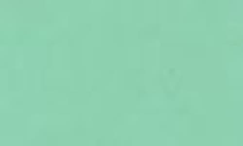 Spectrum Brush Club Cheek Duo Brush In Green