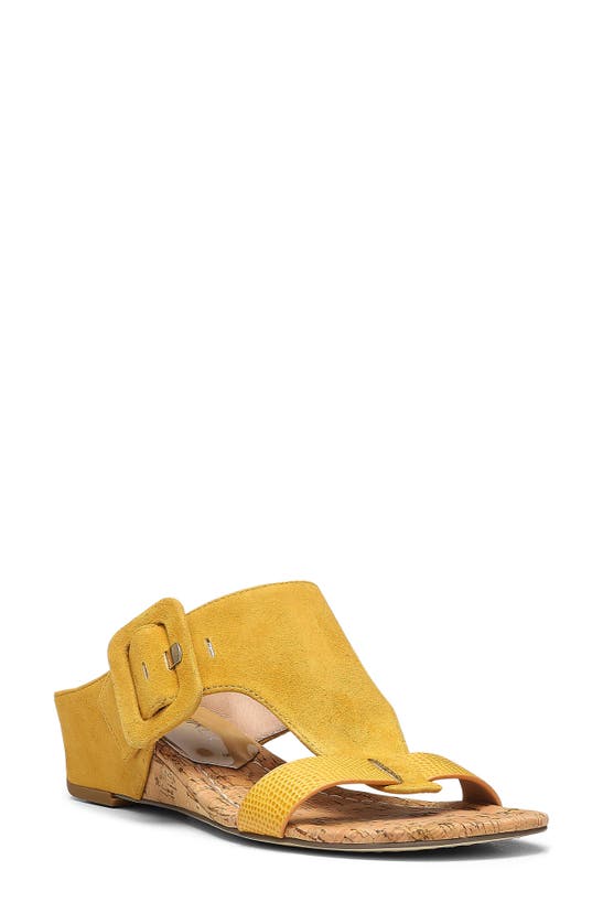 Shop Donald Pliner Ofelia Sandal In Dijon