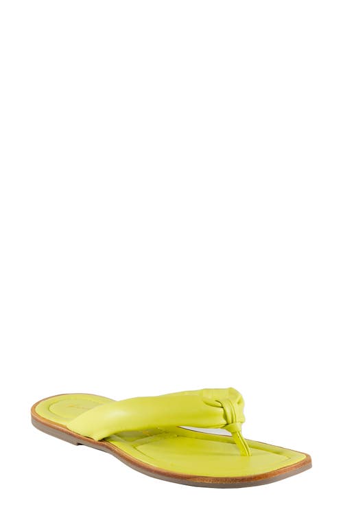 band of the free Solana Flip Flop in Lime