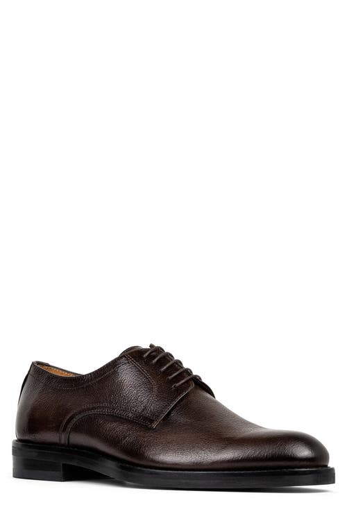 Shop Donald Pliner Russell Derby In Dark Brown