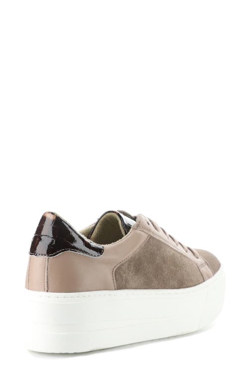 Shop Bos. & Co. Maude Platform Sneaker In Taupe/almondine