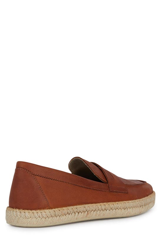 Shop Geox Ostuni Penny Loafer In Light Brown