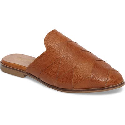 Seychelles Survival Mule, Brown