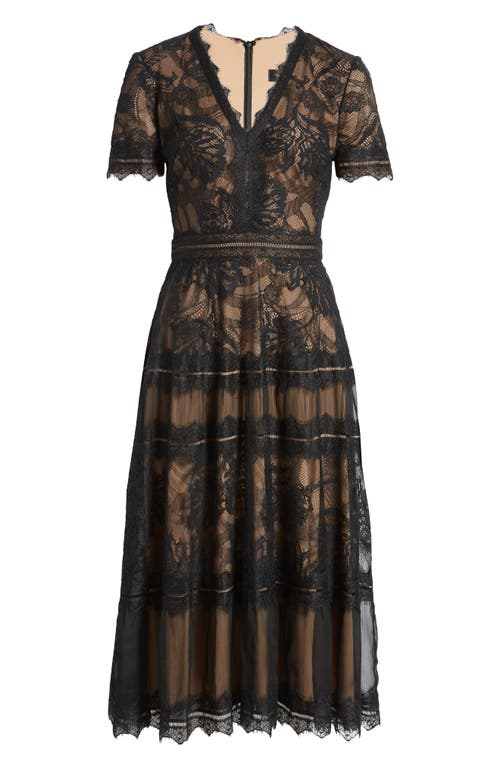 Tadashi Shoji Lace & Mesh Midi Cocktail Dress In Black/nude