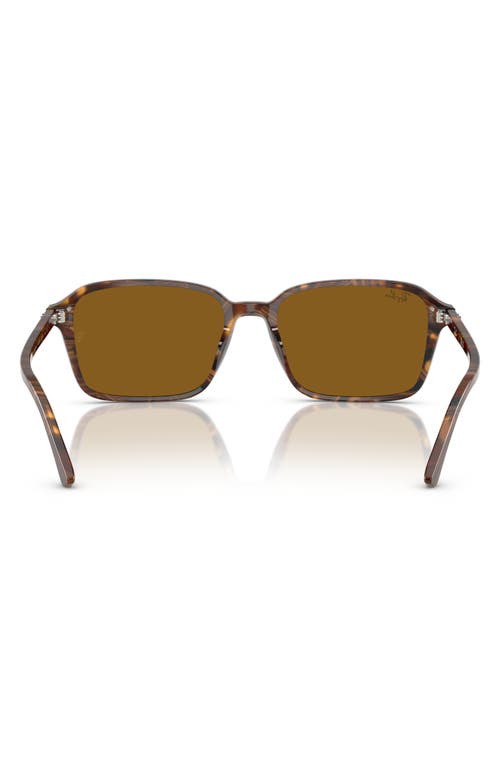 Ray Ban Ray-ban 58mm Square Sunglasses In Brown