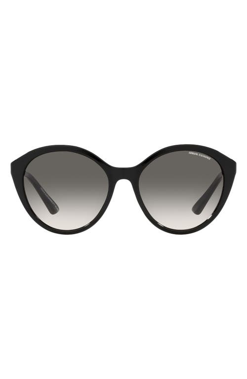 55mm Gradient Cat Eye Sunglasses in Shiny Black
