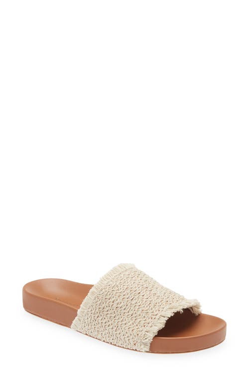 Chocolat Blu Dani Raffia Slide Sandal in Natural