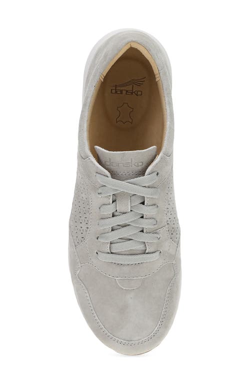 Shop Dansko Catie Sneaker In Grey Suede