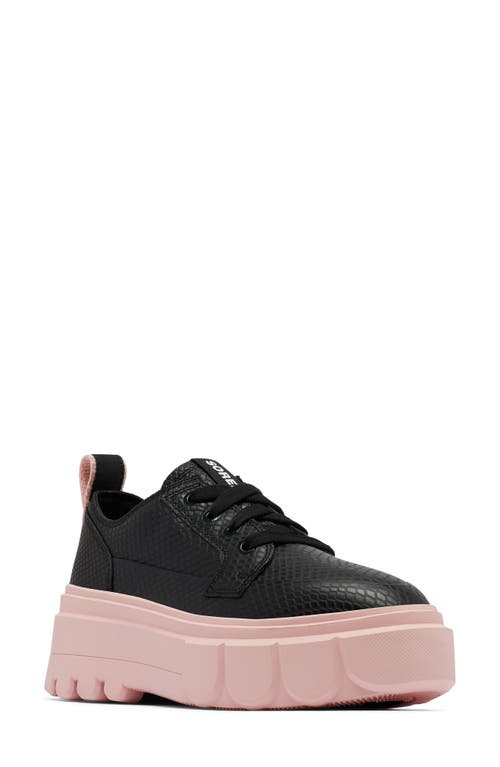 Caribou X Waterproof Platform Sneaker in Black/Vintage Pink