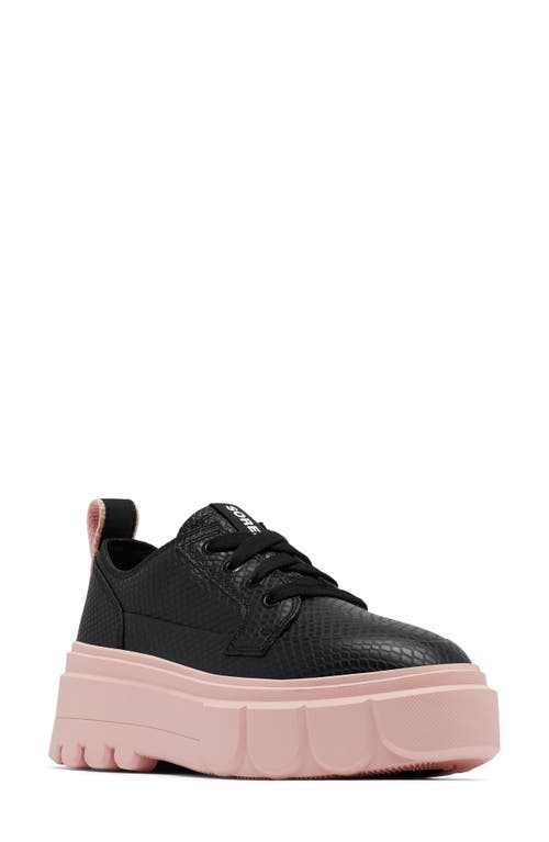 Shop Sorel Caribou X Waterproof Platform Sneaker In Black/vintage Pink