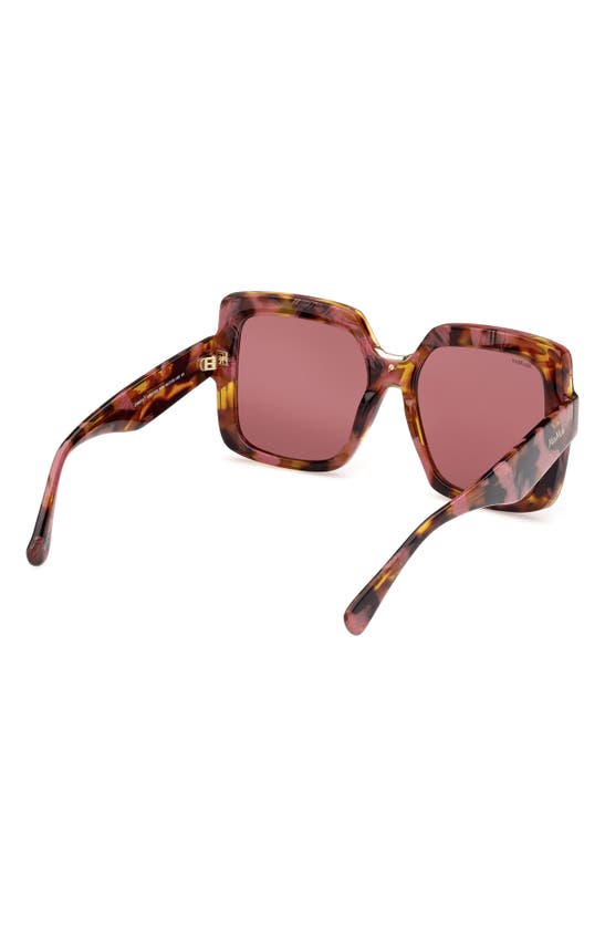 Shop Max Mara Ernest 56mm Square Sunglasses In Coloured Havana / Bordeaux