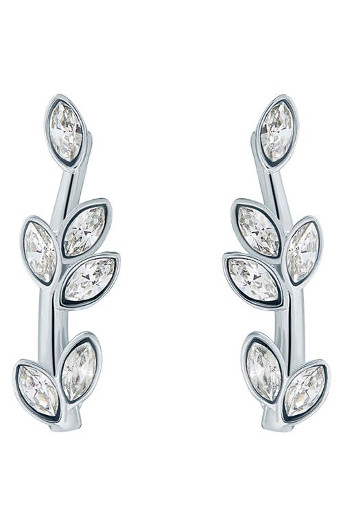 Ted Baker London Senia Serpentine Crystal Stud Earrings in Silver Clear Crystal at Nordstrom