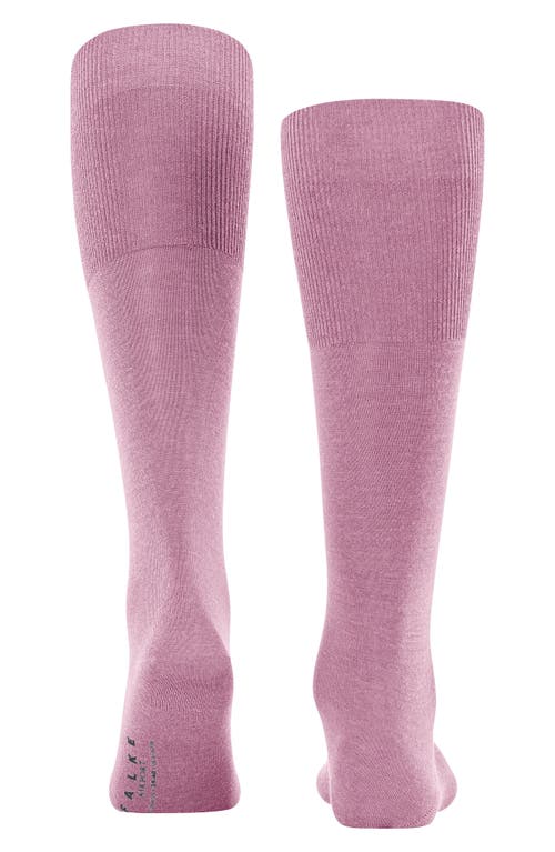 FALKE FALKE AIRPORT KNEE HIGH SOCKS 