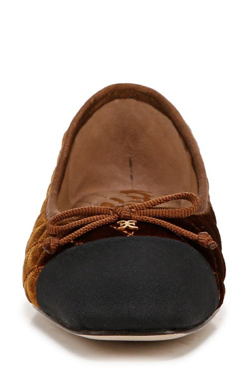 Shop Sam Edelman Marilyn Cap Toe Ballet Flat In Spiced Camel/black