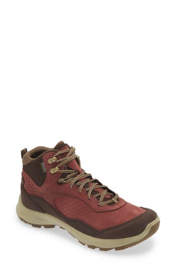 Keen Terradora Explorer Waterproof Hiking Boot In Andorra/java