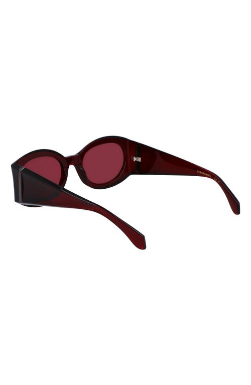 Shop Ferragamo Sculpture 55mm Oval Sunglasses In Transparent Burgundy