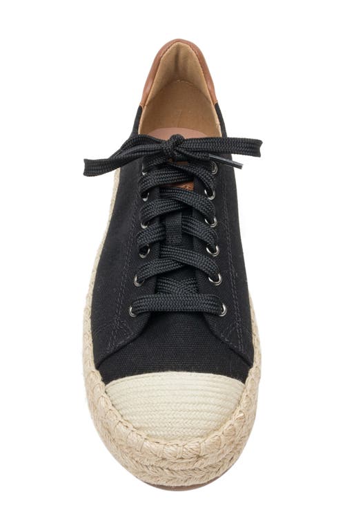 Shop Linea Paolo Silva Espadrille Sneaker In Black/cognac