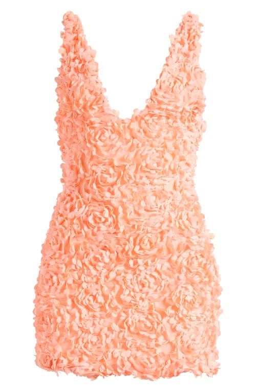 House Of Cb Faena 3d Flower Sleeveless Minidress In Peach Nectar