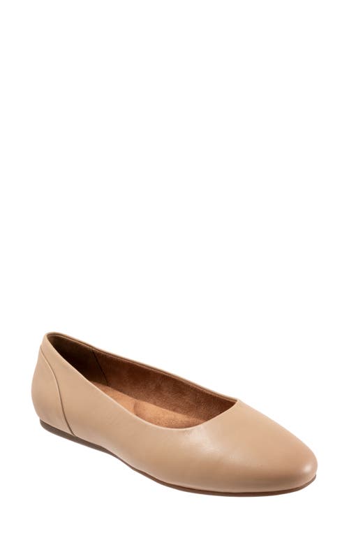 SoftWalk Shiraz Flat Mocha at Nordstrom,