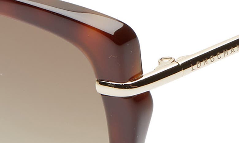 Shop Longchamp Heritage 57mm Butterfly Sunglasses In Havana