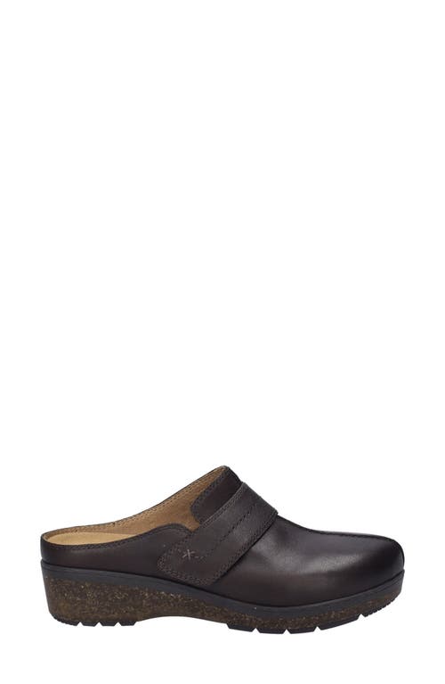 Shop Josef Seibel Darla Clog In Espresso