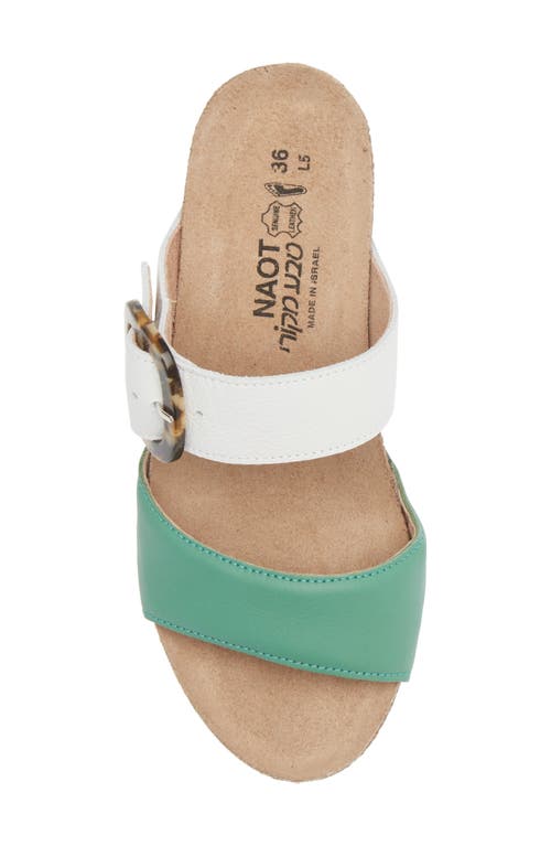 Naot Kingdom Wedge Slide Sandal In Soft Jade/soft White Leather