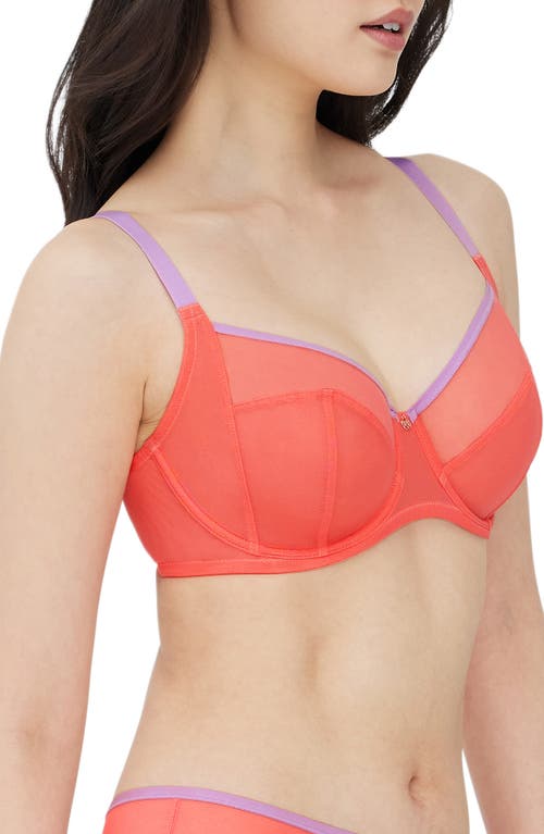 Shop Skarlett Blue Spellbound Underwire Full Coverage Bra In Coral/lilc