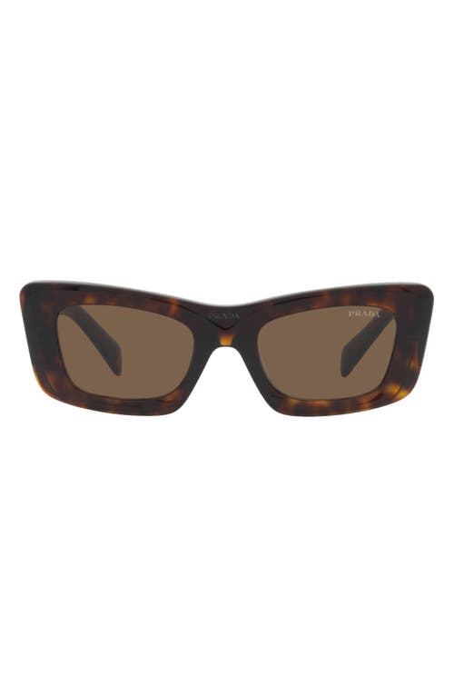 EAN 8056597744447 product image for Prada 50mm Square Sunglasses in Tortoise at Nordstrom | upcitemdb.com