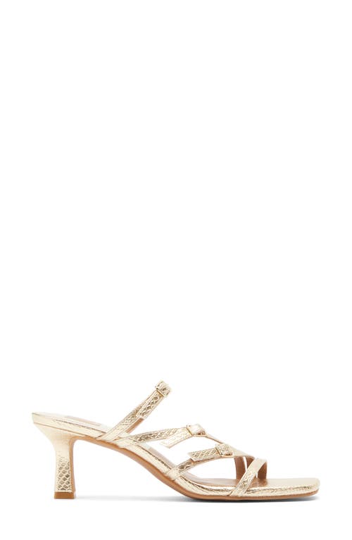 Dolce Vita Tahira Snakeskin Embossed Slide Sandal In Gold Snake Embossed Stella